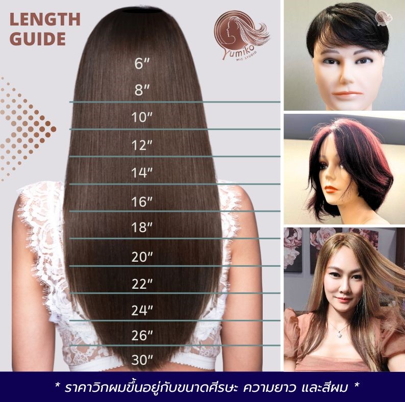 วิกผมแท้ Yumiko ตัวอย่างความยาว วิกผม Length Guid Wig